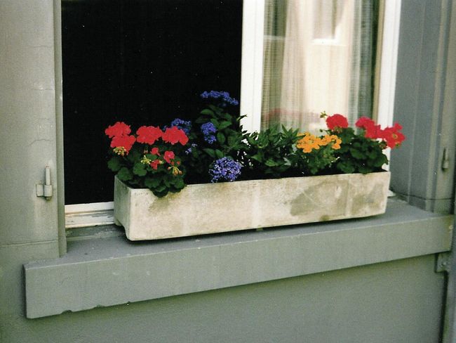 Vor einem halb geöffneten Fenster steht eine Blumenkiste mit bunter Bepflanzung.