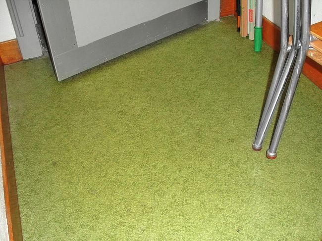 Tra la parte inferiore di una porta e le gambe della sedia si vede un rivestimento per pavimenti verde chiaro.